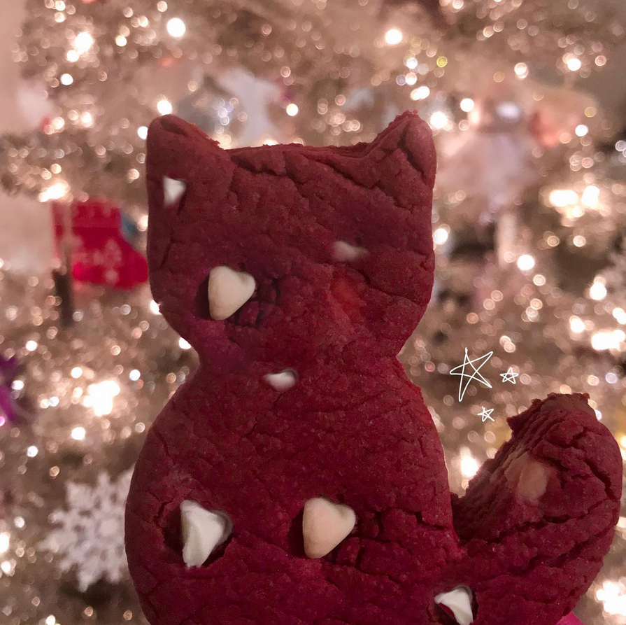 red velvet cat cookie 